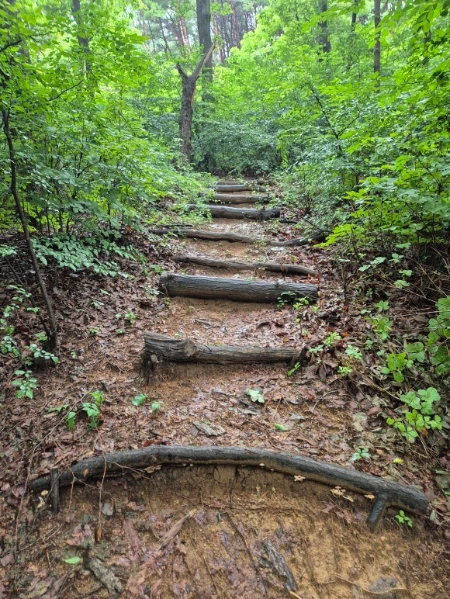 %EC%82%B0%EA%B8%B8_%EA%B3%84%EB%8B%A8.jpg?type=w580