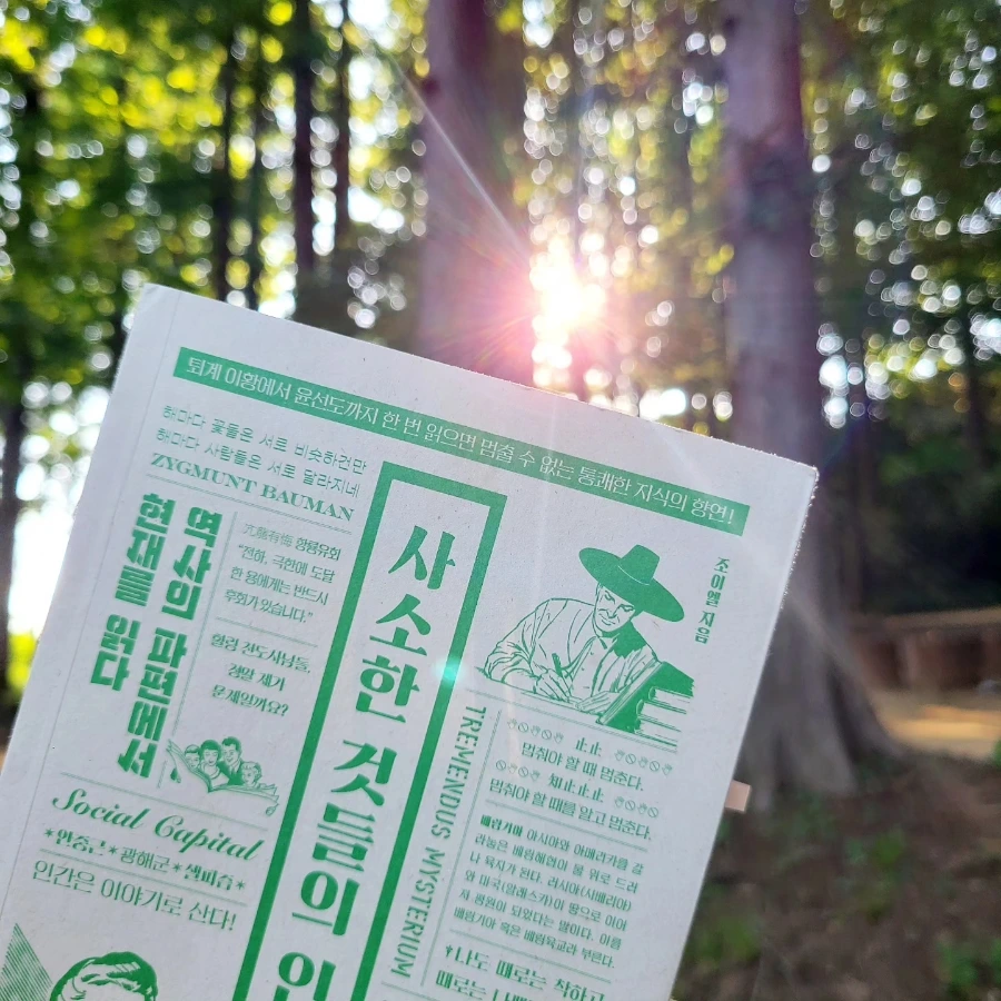 IMG%EF%BC%BF20240608%EF%BC%BF110253%EF%BC%BF561.jpg?type=w966