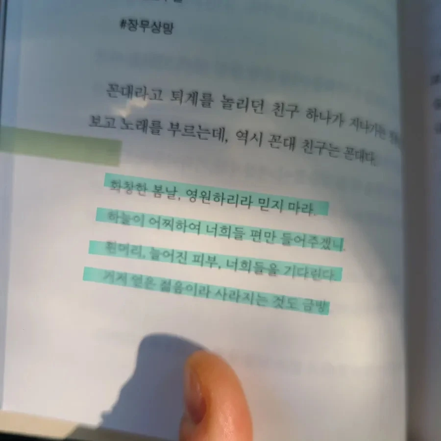 IMG%EF%BC%BF20240608%EF%BC%BF110253%EF%BC%BF672.jpg?type=w966