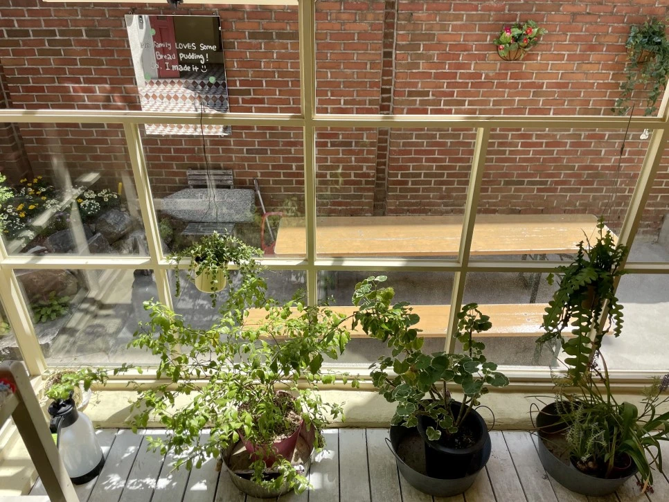 IMG_1134.jpeg?type=w966