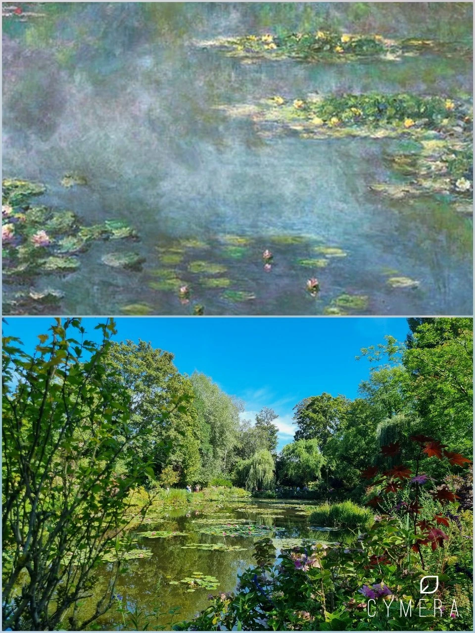 b_fg8Ud018svcv4ezsoq6bpbo_stbvh8.jpg?type=e1920_std