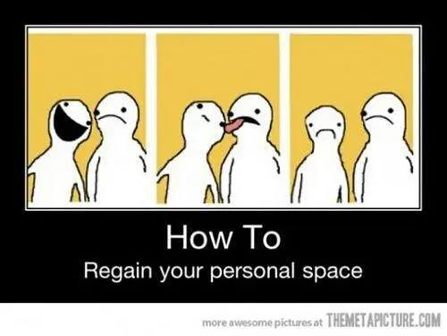 apreq4WxbMa_l.jpg?width=500&height=376