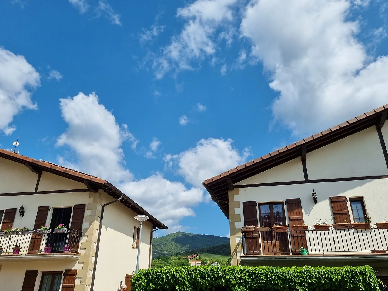 KakaoTalk_Photo_2023-08-25-11-55-37 012.jpeg