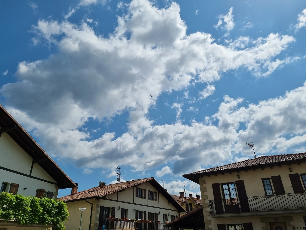 KakaoTalk_Photo_2023-08-25-11-55-36 011.jpeg