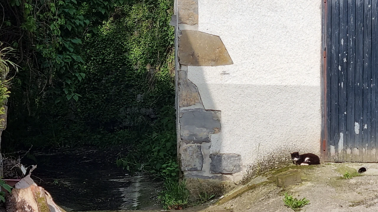 KakaoTalk_Photo_2023-08-25-11-20-10 024.jpeg