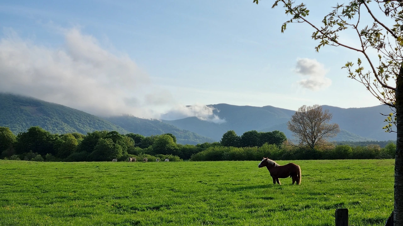 KakaoTalk_Photo_2023-08-25-10-36-01 007.jpeg