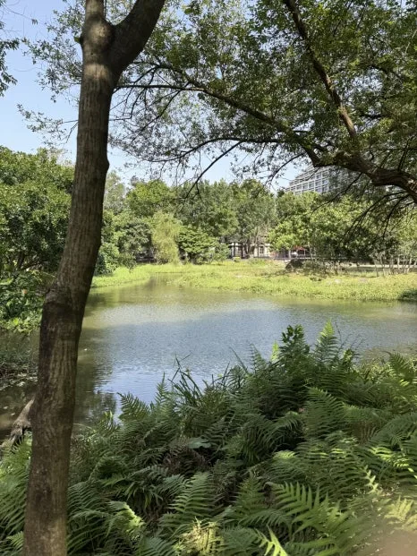 IMG_7550.jpg?type=w466