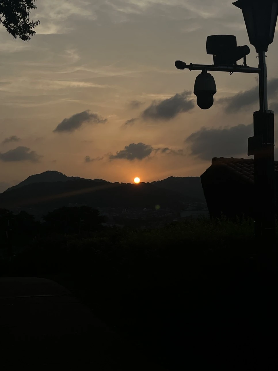 IMG_1007.JPG?type=w966