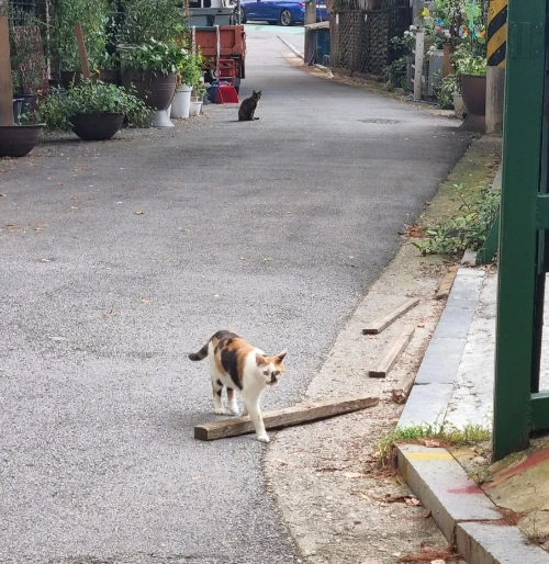 AD_4nXdY3Wh823JIZQsRlBcVqIE4ivq3JUzJkoTwmEhPGG9QoweVjqmjxVC59hXXVP7KLkwDw1DKC4S-91pa58D8BPMcyM8HQR4xpV47KvjH75X5Er2yUfpwP02rCIZ7jM5wujXJ67cvjjHVz-4B1ZVw4MNsKLU9?key=4L0XksLua2w_ik8neYjoAQ