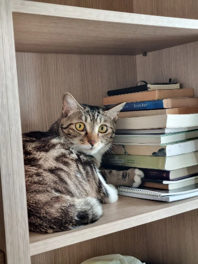 AD_4nXfS2sya-Lp7nDWtf-g__87cBrFlKwdUSxAQ5UudPX8PHASR3FxWQzEYywgAaBNlYs64TQs4plZiyW-goJZlReLGHvOFyhzU9DEPHT-05nK9ASazr-U5HayYOJ6zpOpIsIvjQ_Iu_agbCzJ8EWhDQcuFytL-?key=4L0XksLua2w_ik8neYjoAQ