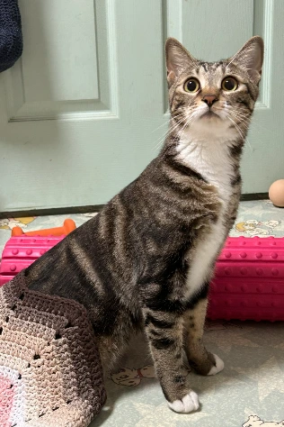 AD_4nXd82HFhEjuDqK9oscsEoscz4saS_093B6HqenK5WuTko40BWiOr_NjlqwQrscLeK_R4SOCZU7ajRkS1g_pjh-0e7OYLmBmKdEXuSaiTJMhpSNbLxNmrBLockDn_-3TV8fYLaBLGm4buh9o5Px-PDnI6UxrU?key=4L0XksLua2w_ik8neYjoAQ