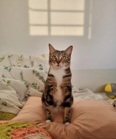 AD_4nXfvAkYurjci0Gpu9RpuYnu3OKErFsg-WNDLksfF2u0fLiNsmVXcAMDQ677yfM3tndTT0PWl3lYvmyV4BKC1XqULjJxcitM9xsl_mvrtG-iNVY4zWXZotGh08cG_NPkQxp4f3AzUgNWX6Kset3YckktnzV0?key=4L0XksLua2w_ik8neYjoAQ