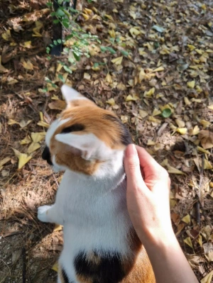 AD_4nXfGthHJAMjOvxIYeV5WV_IMOZoDpR-coPXZs2aqkdplF6GJm1rPucJGZMkWV1fsO9RrBCdsJbt2upRJanDKwKYcOLZg1OAzC5VYMOqlB58eZAnd0evGxlR81ijSE_e0IaN61_Oe1rg7tyUlNaiUtj6cyJfo?key=4L0XksLua2w_ik8neYjoAQ