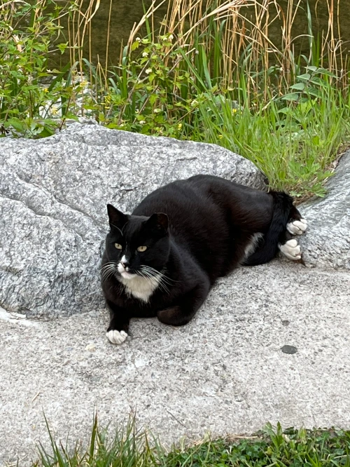 AD_4nXe5CXLjgkNnvBjyEQlADOqghObdnwzVmLo146bM_NWTYfeMO7eG3rn8p6A5Bo8uNMX7nRlOr7YBPYEFDBcKIE8P0rwFak1LnzH9E_jLyosT0FjvJ9GZU8fLuicPE_3t3V9s3RuPIzviLxY1iIxcz2QdN_0?key=4L0XksLua2w_ik8neYjoAQ