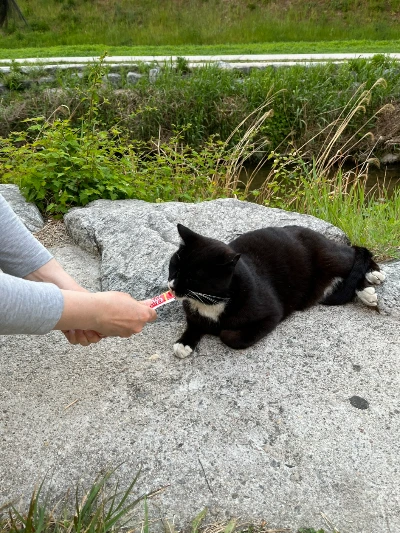 AD_4nXevy_OJIv-HrFomb7tdr8iZgwPIzE8_jHK6bBylBtZU8jIBjZk7H7CcDqcpK5xVxQKGpLhX-AD6xdQqoHyk6MP_1eSaOYB7xpLj494CseSJTXLO7rwue_bkqQnzy5A2OohfWS1lIMOgIEMJkvObb68PaCQn?key=4L0XksLua2w_ik8neYjoAQ