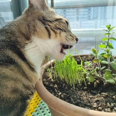 AD_4nXdxdqHLFqMIPSvXHjiJn9FjJ6vqyfQM8sae0Wi6U5rBrJIcTRtuNaLf57isUIyvkx5w8vW4N7-Rq1klHZR4DA4o-SgD1xzLbdej9DWobW2_vi_gWpvjnKjhwUpdV9t8pIbBRMqVTA3T0qAqql-FYx6Tquk?key=4L0XksLua2w_ik8neYjoAQ