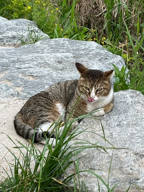 AD_4nXcEyLC8hGCkauCztcUw028hwX2am0B4bGgOjjL1WFJ-S3Q0zrlFokTVX9T8eGsg1wiDkva9yZW49TX2JjkSxx2EZBzmJiZ9WunJi2y-de3jNdc8UyJXqCeCWlWWcO7_5Qc4UGbnQIZcE_LKKeYC5JnyidoO?key=4L0XksLua2w_ik8neYjoAQ