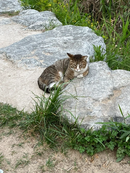 AD_4nXfGxVlPRiWoA0RwRzyj2HQZ4tMfQmWkEoZhYA5TQWEGxT6W3LoZvCXP-ooxmfQAP2VzCvMzWEiZZN_e025nMZiEjmI_3ICwwp0C7Pj3j5DxfjZAduTgQzuGkBOWmc0GH4EeYY3zF61p-Fb5lFn8A8ew_9sz?key=4L0XksLua2w_ik8neYjoAQ