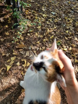 AD_4nXet8Rc5OG92YBbfCYyO3lMBvtRIAqKV2wDRcfQYHPwA1sTElf030LlGs-LvC1laPkkbsfAlmjHrCX01vslIHLcjh1XZ0b0m8M44iKV6ltZzLzmI-IA6TLS3SoxnIdD1Rs91wb6tRnBnJHIWwvWmyQA3uSgY?key=4L0XksLua2w_ik8neYjoAQ