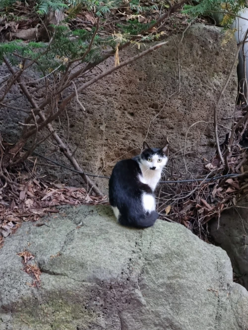 AD_4nXfoaU_pEyhinR1cML35Ri9kNK5srcrhHWYRQLfn1QjRjhCB7H5fDPaOSaWp0W7JEQXZYsbEn0tRnWvYSOvDvWB5g0wMHuTsF2rNaTeV8Wd9mnPct2G9faC_8_Q5u0BCV5hOGsYNwX1fHPCICIafzYsd36jY?key=4L0XksLua2w_ik8neYjoAQ