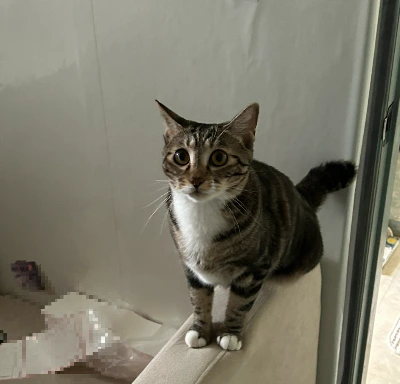 AD_4nXeHW45hhkjxfsn1rduBwTAQvV1zzjtNhX8wCcNpEWMbQjkTnuyn6GkXaRYnXeE-kk01oFoNoOhp0eX5HLLFKL1Q_MToCSjO4zle8CMSA6_Ut0Y57lPuyVNzT7h7tYrZr9exAm4VhlCe2gO35L43SJinovs?key=4L0XksLua2w_ik8neYjoAQ