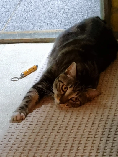 AD_4nXfkFvGyqWXjVgXJJxsti5jayqnqcUc2WjX4pd6QbspmfXazU3KI5cVY3LpQ9l8y_hf_HawuPnLPkfRxWJmE72vGdyglLcSDdmIb4cOkiDwbBPSh3DNpq_4vYwUaORUJsBvBCDZ0YVhJYDzzsp1tFa-t0b4J?key=4L0XksLua2w_ik8neYjoAQ