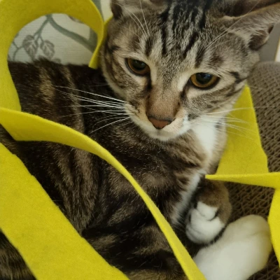 AD_4nXd04BrT4rKkd4Rh70l9INFSL4ekL-DBy24sTyMvLwXbtPMfISLjdenGKw1h8Q8dROQPRT3tZVHYP06mbFM8ilAoBpGh7Yr29lmX5cVpkfTVGABgFkAbAnynHFBOa7Py9KRLc8yCXLTMVkfHQr6CFxzzpieE?key=4L0XksLua2w_ik8neYjoAQ