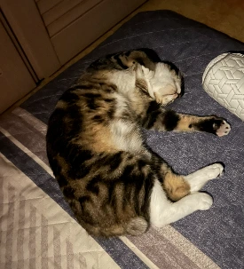 AD_4nXej6kvkSN-eibuv8mCsaFHc9ON_YgJLvYjr055rH0Ecs0kMSvokFyqXtlxw7jhnsGKcrtGodDTGRcm4uzyfywc680Gh_LLJCN9F3MaGxfhzXxL8dyt6NOIOjH5KoDxhbOggY3PhIa0U3LCkpyWzVuXRxQSf?key=4L0XksLua2w_ik8neYjoAQ