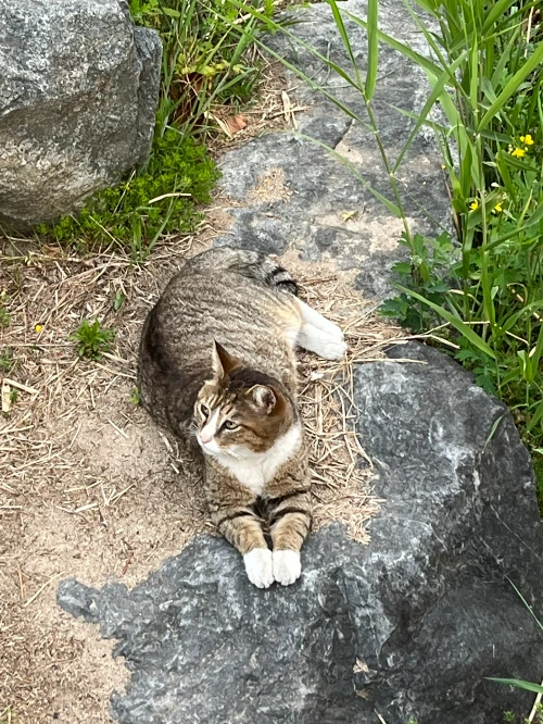 AD_4nXe1QVg8-rC_jyCzChD6N5IxwJbc5zFxG8j2m6-ki01_2Bv26JxebptFu9PpiSkZxyRoqLPc3sf9oXK41i7EfIOtmtxKFCgEcVNartFha5yMF5PIJlnVNzX2KVWkywo9luE8bOFjI6z-9ucoh-fHr4m7TPIj?key=4L0XksLua2w_ik8neYjoAQ