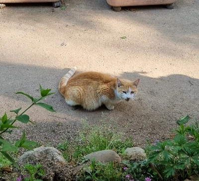 AD_4nXdwBcmdJQbwAEjmXSpN5VHH71Xg90rSwGGG8ujPrVPDBFUr1gOYrXzXlcJtvAtawpqNJXPVO3xHRmkp7d2HrxVvlSh1jM8IgllxABefzNEcIMeZDYUvcQyR_MOTILZy-sarRTg9oe1eiLzKbsiLHOscF8Pk?key=4L0XksLua2w_ik8neYjoAQ