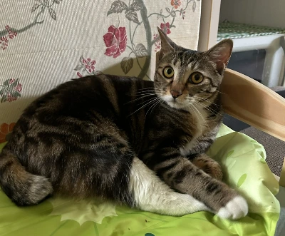 AD_4nXftWeZuw3rbxmdH6vbDNYR8tFu0ElUvNaZbKOKe_7vAzrn8WEjQpvyrV3TTbzZ3fW7m6QyZWCj9gXWVx-_81e7Ru9C_GJCx-3P_aFSW0oE5ptKJB0YqQ8hGx9ItBfmMcJgyjQfJO6E3wOTFv_bXL_tC0eI6?key=4L0XksLua2w_ik8neYjoAQ