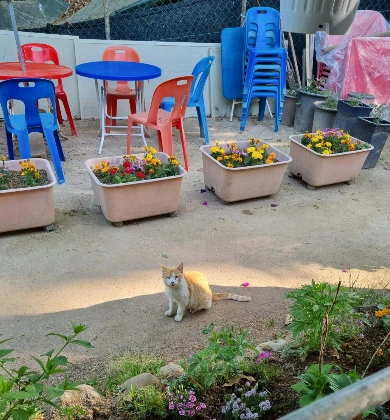 AD_4nXeIVkD9CW-9Zv81N9WsWLtK-opLutqKwGbAmLj5pJdGNKE95ZPjXDQeqj_MCQT9pP4eqatwuXkRMfDN8QuV8m3IhyCJoxpMkKqNjo5KVWqERq1MX4DPqzU4T1qkKyDdNtIdLWQ_n_gbfxuAIN3nOy-txYEM?key=4L0XksLua2w_ik8neYjoAQ