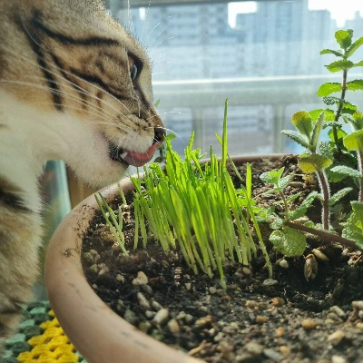 AD_4nXerSh423qpQZBP-pE7DVmDJ8WAQrJXfiVg02u6FovsQ8N-gorAfrC3Iih7RdJ1zkvr1KBLBb06kwkGwBlXIXgdGbaeufDC3rmlS4Afivv_bG3Rw9cE4pDL3esCgq_YHbjLi8SODLhRMSZYSQvZmTCnRtqU?key=4L0XksLua2w_ik8neYjoAQ