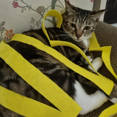 AD_4nXdvl5QHwOxX3b4e2DM0dVM21Gw0VcGbCVNw14HHcMPynG67mbByVp8RZrqwJp_gkAMNhXsCnOXkSvlGp3iClAN2s01uEMm9HHVGXOVsj5wvM3DoHEBkwtSNRLbdKC3ouX-QmhQlUYApB6KAunkZgbb2k5k?key=4L0XksLua2w_ik8neYjoAQ