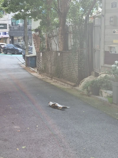 AD_4nXcmdoWlVFa5gV2kXWpXdNSd71BXaqPKcygsAdKMNVzFRDHsawzyXLEY2YjAb4xSK5xxEmevEXhL3ErxtxTVXlQ8I8cyIeVPj040_uj_OdHqlfbkZ1s0FyM_6um7rj9h1QCPNQTjBmOrGrdVUyBPr3p-nqY?key=4L0XksLua2w_ik8neYjoAQ