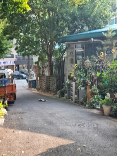 AD_4nXeQyvlRpLtSanmsUu0jlFDumz4R_2F4KIpGmMJmJKMWN-OZsIMTI5LeOoBZch3IXmihJUZWwyQ7Fw-h-VdIjDWFqwGIn0t_vbgDGJ8-VbS0cNhVnurLbE-YFGH-6282eFeLof6TwDeafghFAEtLJGGpxzf4?key=4L0XksLua2w_ik8neYjoAQ