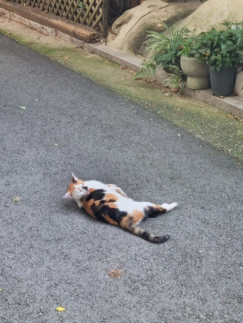 AD_4nXe0lBJTXUWlHaEos2wds5p-wpna13SYyEoSQbW1m4rI_pYgt0MwhcCMdaRfS-Pm-p4LPv6f8RhjtTrJiqq2ytXuKtLdJZ6kuJzNgSV_PQ73VC0B7HN91fs1WitaE6C2mDa0hVo6AfWVFBeUBH4Ae9l4-5Q?key=4L0XksLua2w_ik8neYjoAQ