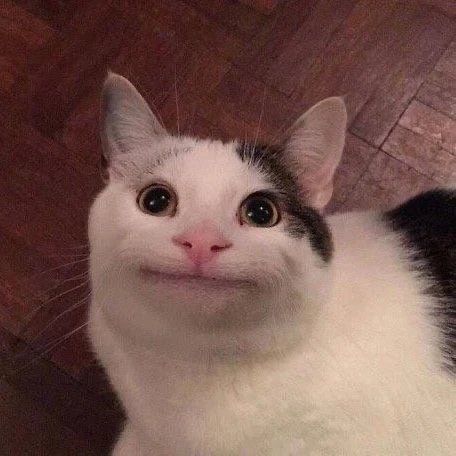 다운로드 (1).jfif