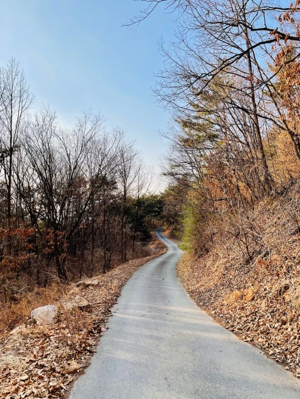 SnailGarden.jpg?resize=594%2C791&ssl=1