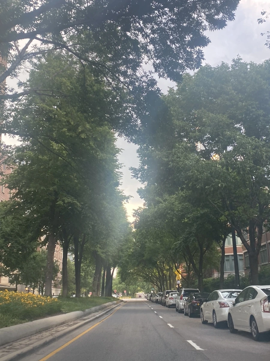 IMG_3520.jpg?type=w1