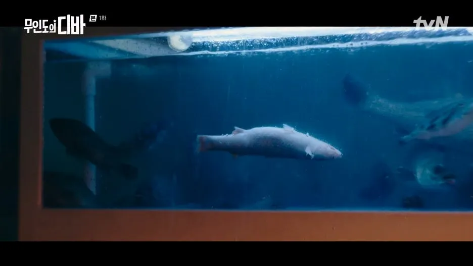 %EB%AC%B4%EC%9D%B8%EB%8F%84%EC%9D%98_%EB%94%94%EB%B0%94.E01.231028.1080p.H264-F1RST.mp4_20250130_214500.166.jpg?type=w1