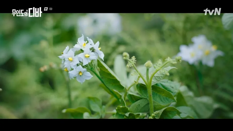 %EB%AC%B4%EC%9D%B8%EB%8F%84%EC%9D%98_%EB%94%94%EB%B0%94.E01.231028.1080p.H264-F1RST.mp4_20250130_221541.566.jpg?type=w1