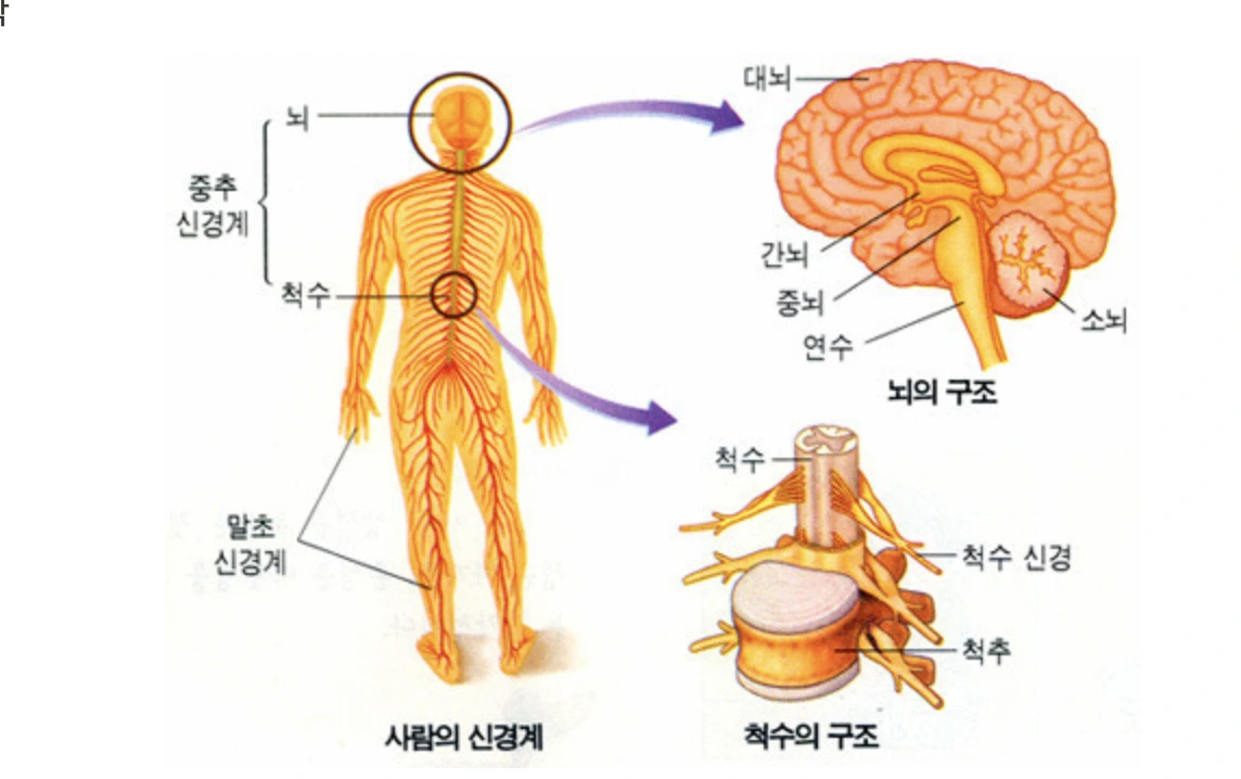 _NUeud4Wxnal4WC48pqxLzp9kG3PbepKvduGTdE7aYcx_dY13fPsC82df5UYGrnw_Dv2M3Pn_gp3rbMPMy_KUSmFaqkiRomSyUzEvEhhSQglGOs4uujBl7KjrwMsPLVbE3u0j2aoNezY-Cn7r95hsUE