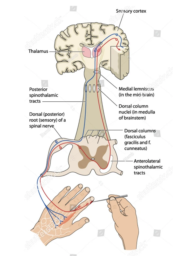 THHMWM-5xUhuCVTKMuD1bpIe6QxCGdCCBcyPslnBKCj2RMdQrt_pGBQrxAxzqpn21fb6ic-Qq9IvgUOQdxnrafbfd4UCiB4N5foUGM3IdAC8qVvy-RxeV2zVwKyUxpiwbhK9199TI6EpYohHX8tRlOM