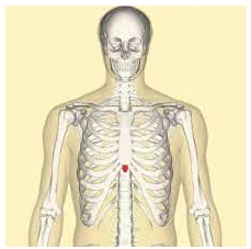 GmuuSGuv884He0JIHEynfa403cEDhiVbh7wzNf3xIueQ_1URrRZp7gyyjsw9SUd48Tjl9GcJIzCRl60AY5a9nGIbZZ1Zf5agRFfk24spHXZIzD3-xySvNgp9Ve6upXeYOcrb1P3ZpAT3hrwAXFd5mLs