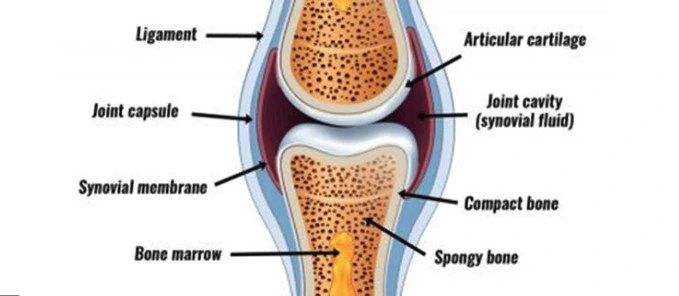 kW9EaS3hyE2fuRz-Ay8a-eq-MdhwhdA7W2t8BmR-8XBcffCiBW7aOP8GbqhoDf2ksJk7jqeIn_Z7H9LO6_IUrfJQO0IDK1vF3QzRLdOsIu2zpPSfZHuz8lT3FU6fJVMaUULw5-_Z1hEQGM8bFNX0H34