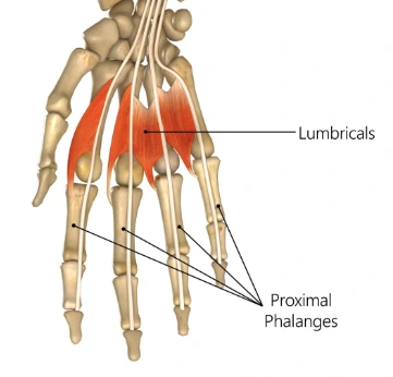 xJLBu1ItuXchXh-qXv9ZCDnncdrMhW1rQ6PdFwtxktqpjBCsPjRWcoFQK8SzD2es6Uc1An7gKmiURs7csBqrRwMgLluewLlZtX9W-s5nWN1R1WXwE3GOP73S8YPmxiFFPLyJKOO_BuIG-KDTYLrXgL0