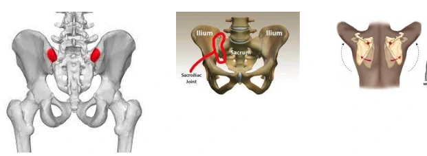 C0Q0qi3ojnGCWAjeE2C-iebk35fvppTRzbQjgWjdRAVR9UOWyi1zcajTJn25va_H-GesX2Lv8lYujW85hL13ue8ej4Df6qN6ss3cLX89QAZSr-SMaiKXuraIOU1_mgvi32qemJXTD7Wtu8eKzu51Ors