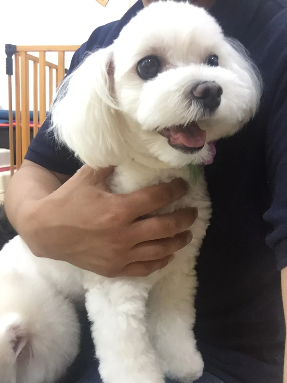 %EC%9A%B0%EB%A6%AC%EA%B0%80_%EA%B0%95%EC%95%84%EC%A7%80_%EC%93%B0%EB%8B%A4%EB%93%AC%EA%B8%B0%EB%A5%BC_%ED%8F%AC%EA%B8%B0_%EB%AA%BB%ED%95%98%EB%8A%94_%ED%99%95%EC%8B%A4%ED%95%9C_%EC%9D%B4%EC%9C%A0_3.jpg?type=w1