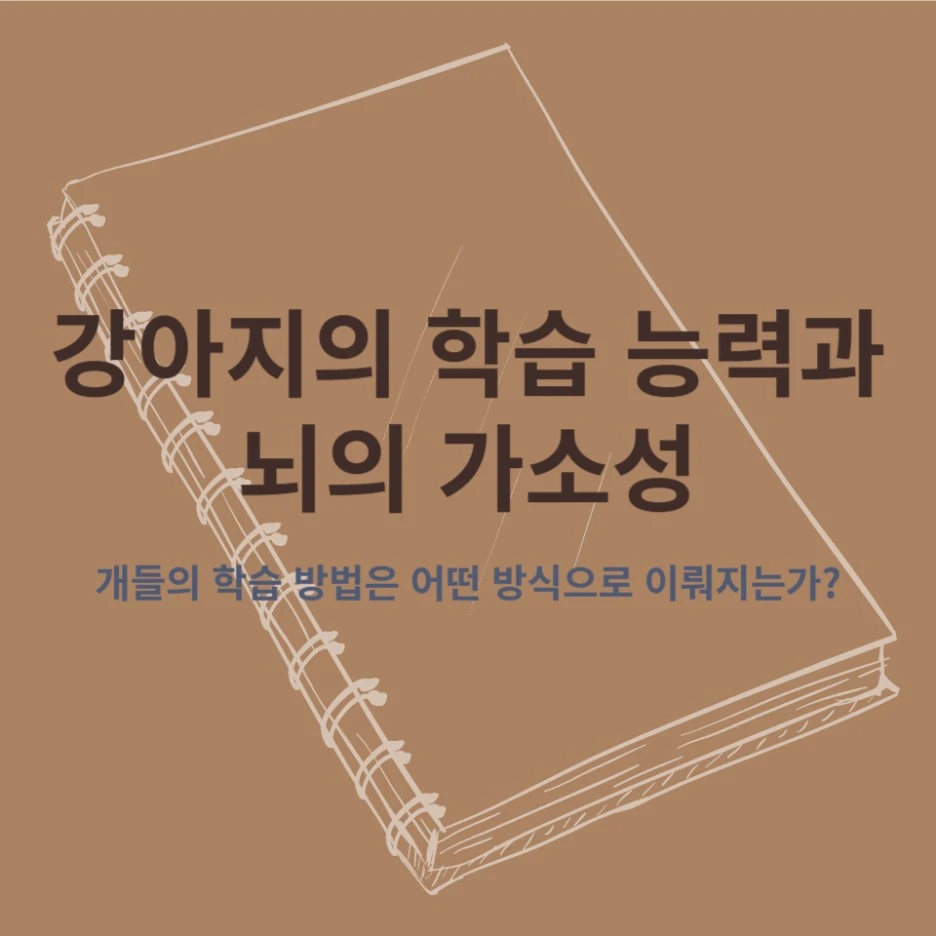 %EC%A0%9C%EB%AA%A9%EC%9D%84_%EC%9E%85%EB%A0%A5%ED%95%B4%EC%A3%BC%EC%84%B8%EC%9A%94_-001_(3).jpg?type=w1